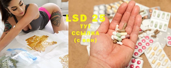 PSILOCYBIN Гусев