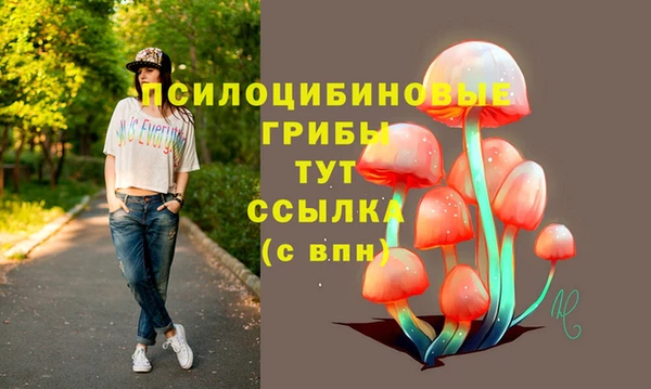 мдпв Гусиноозёрск