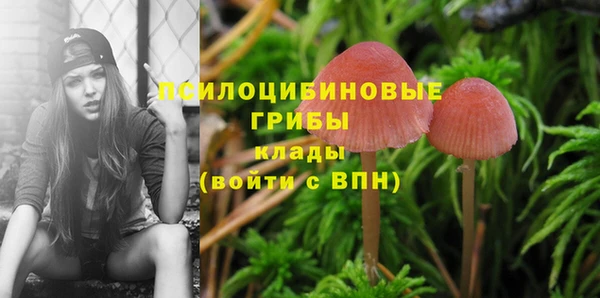 гидропоника Сясьстрой