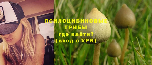 молекула духа Тайга