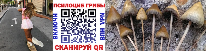 Псилоцибиновые грибы Psilocybine cubensis  купить   Печора 